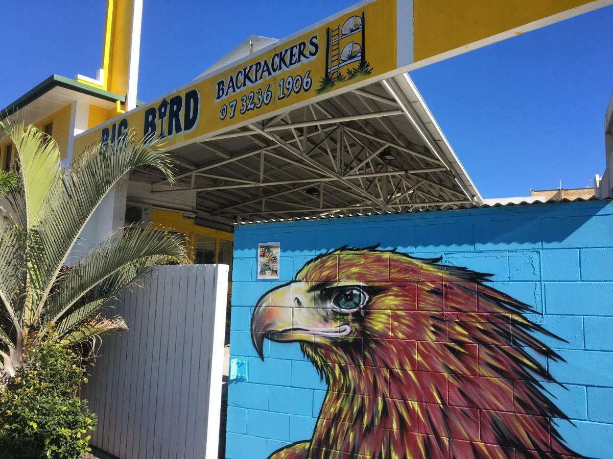 Big Bird Backpackers Hostel Brisbane Kültér fotó